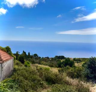 Susette's Serenity - Ground Floor Apartment - 8