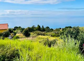 Susette's Serenity - Ground Floor Apartment - 9