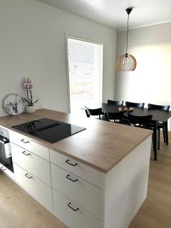 Brand New Scandinavian Villa in Rovaniemi - 8