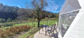 Domo en plena naturaleza - 1