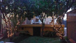 La casa de los naranjos - 7