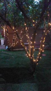 La casa de los naranjos - 8