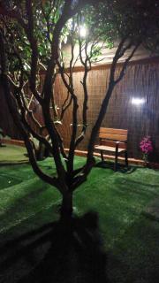 La casa de los naranjos - 1