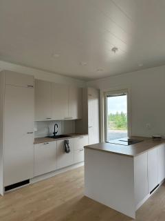 Brand New Scandinavian Villa in Rovaniemi - 4