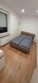 Ferienwohnung Langwasser - 1