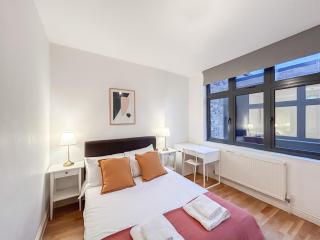 Stylish Camden Apartment C2 - 8