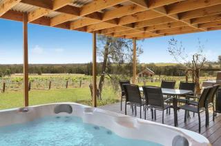 Rose at the Vineyard - 9