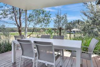 Rose at the Vineyard - 5