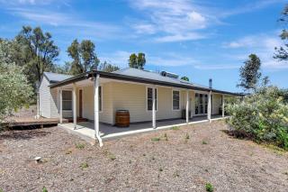 Rose at the Vineyard - 1