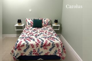 Carolus Suites - 3