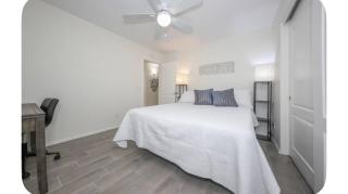 Peaceful and Sunny House in NW Tucson - 1