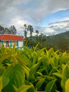 Wild Nest Kotagiri - Kotagiri - 9