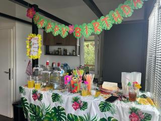 Splav na Savi - House on the river - 1