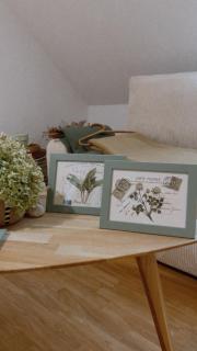 All Homes Apartments - 5