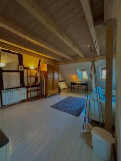 Pensées d'Alsace - Loft cosy hypercentre Colmar - 4