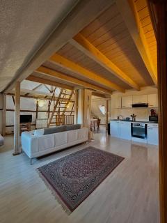 Pensées d'Alsace - Loft cosy hypercentre Colmar - 7