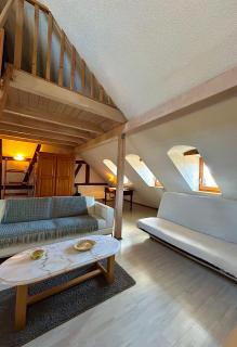 Pensées d'Alsace - Loft cosy hypercentre Colmar - 8