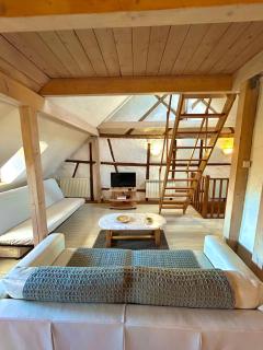 Pensées d'Alsace - Loft cosy hypercentre Colmar - 9