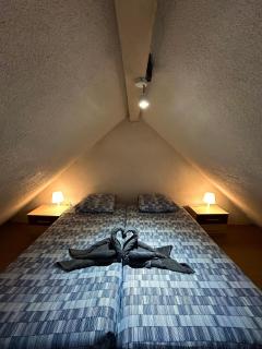 Pensées d'Alsace - Loft cosy hypercentre Colmar - 1