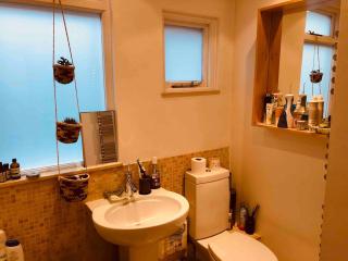 Spacious & Characterful Victorian 1 bed flat E17 - 9