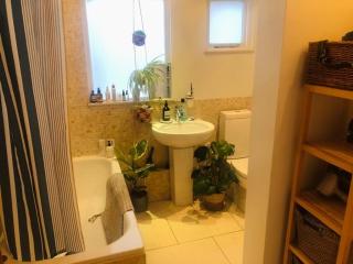 Spacious & Characterful Victorian 1 bed flat E17 - 6