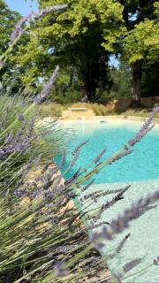 MAISON LOU PIADE Sarlat Your Luxury Farm Hôtel & Confidential place to stay in Sarlat - 8