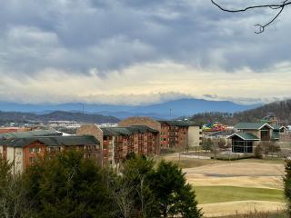 "Land of the Free, Home of the Brave" Double Luxury Treehouse for 12 Near Dollywood & Pigeon Forge - 0