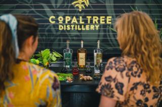 Copal Tree Lodge a Muy'Ono Resort - 9