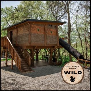 "Squirrels Gone Wild" Luxury Treehouse Adventure Near Dollywood & Pigeon Forge - 5