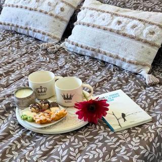 Destino San Rafael - 9