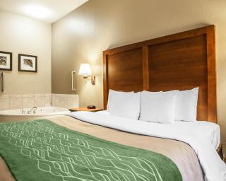 Comfort Inn & Suites St Louis-O'Fallon - O'Fallon - 7
