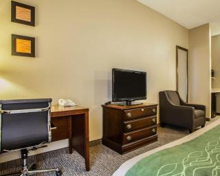 Comfort Inn & Suites St Louis-O'Fallon - O'Fallon - 6