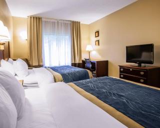 Comfort Inn & Suites St Louis-O'Fallon - O'Fallon - 4