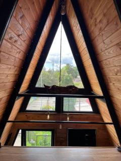 Cabaña Alpina Elevada, diseño Único - 2