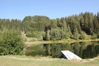 Ferienhaus Riegler - 8