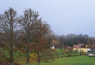 Ferienhaus Riegler - 7