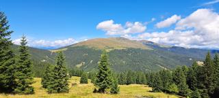 Ferienhaus Riegler - 6