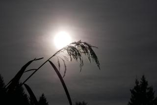 Ferienhaus Riegler - 5