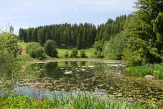 Ferienhaus Riegler - 3