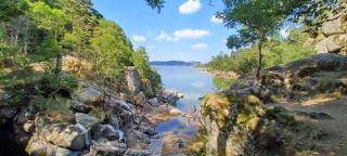 Gite Le petit Nice - 3