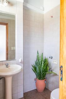 Rincón del Sol, country charm in the heart of the capital - 4