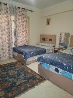 الشيخ زايد - 9