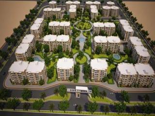 الشيخ زايد - 6