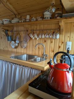 Shepherd's hut Het Schoehuijs - 1