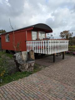 Shepherd's hut Het Schoehuijs - 0