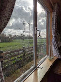 Herdershut 'Het Schoehuis', vlakbij zee - 2