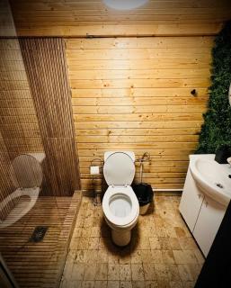 M Cabin Tree house Predeal Ciubar - 2