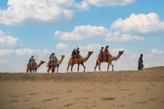 Jimmy Desert Safari Camp & Resort - 7