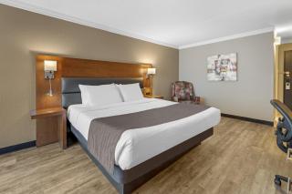 Best Western Hotel Universel Drummondville - 8