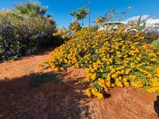 Makrigialos Long Beach Villa 5 - 1